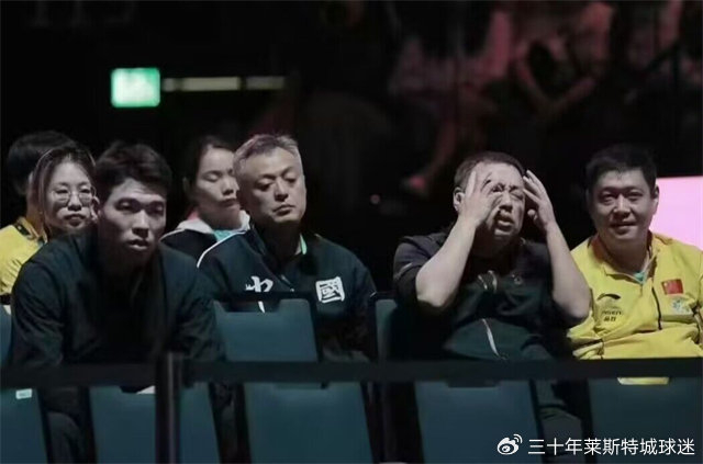 樊振东缺席伦敦世乒赛团体赛名单引争议